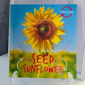 NEW LifeCycles From Seed To Sunflower Paperback Picture Book